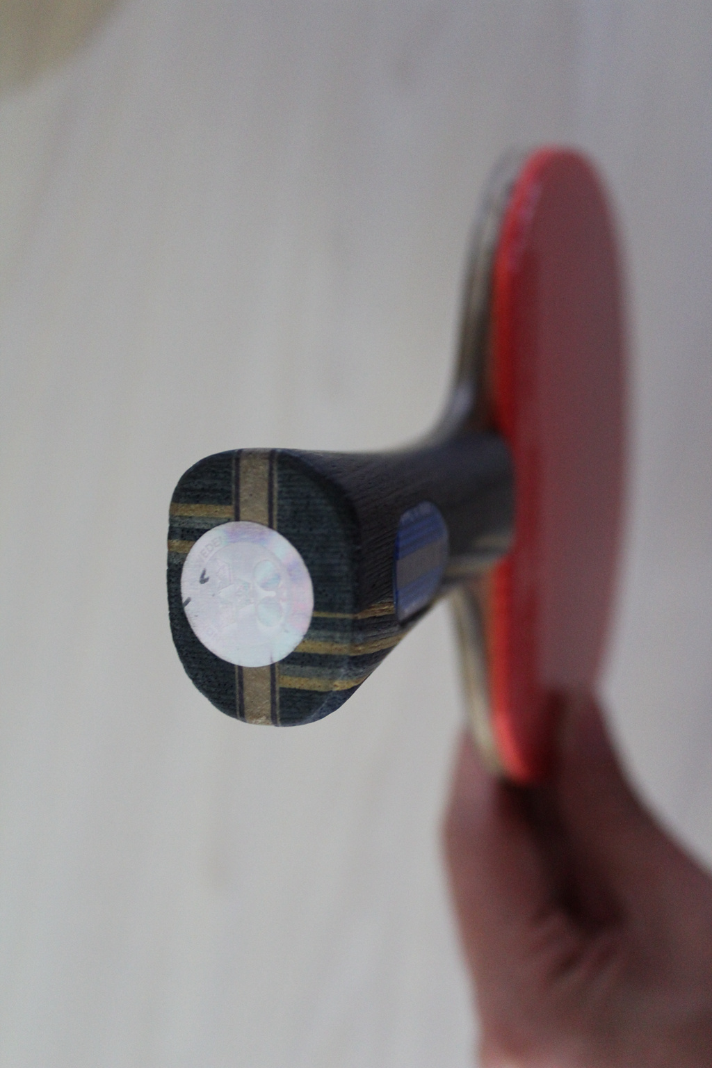 EG+��3+����