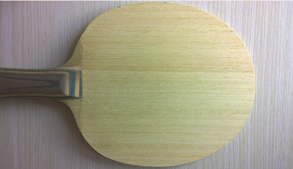 [ԭ��]���籩��ʮһ�š�8.8�� �л�N����� VIS 738 ���죨��˳�ᣩ