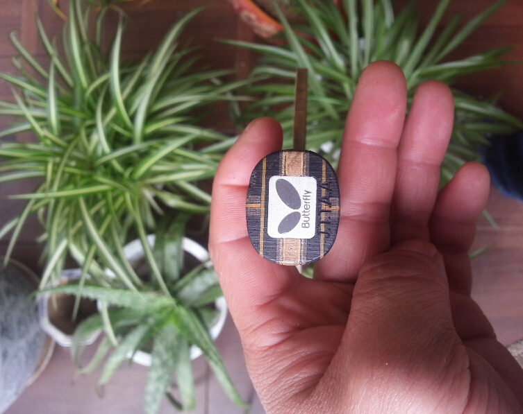 st�ĳ�����