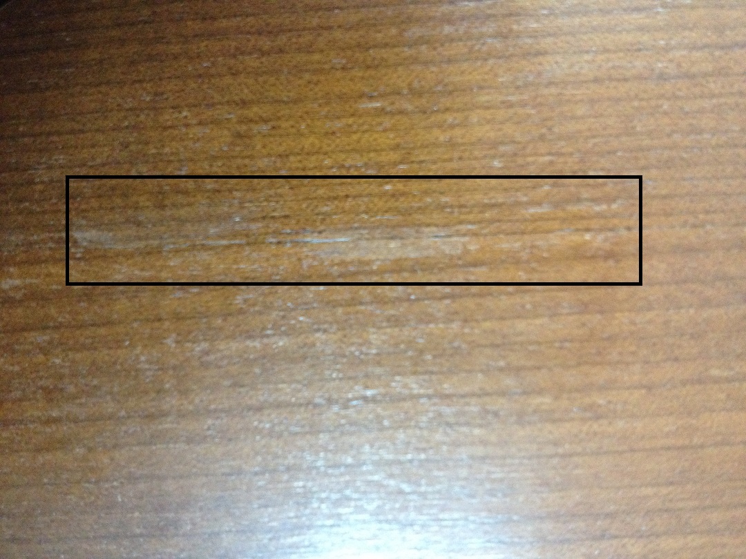 ��Ұ��ҿ������ŷ��˹�ٿ���α