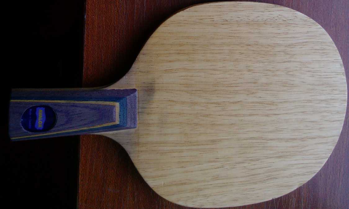 ֱ�ĺ������������ϰ汾������bt555.