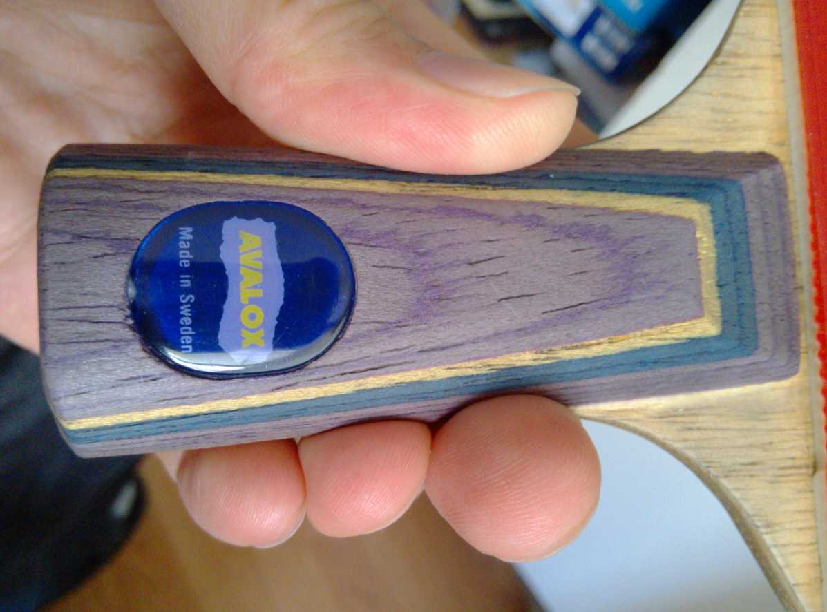 ֱ�ĺ������������ϰ汾������bt555.