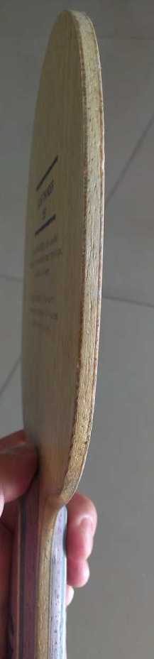 ֱ�ĺ������������ϰ汾������bt555.