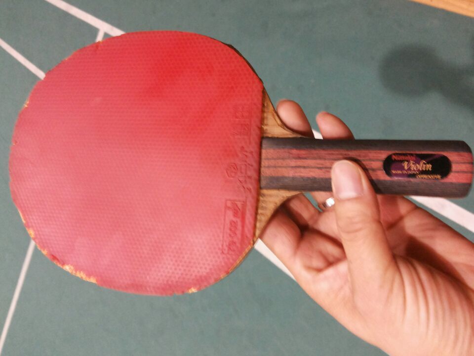 [ԭ��]�������ѱ���չ����������������