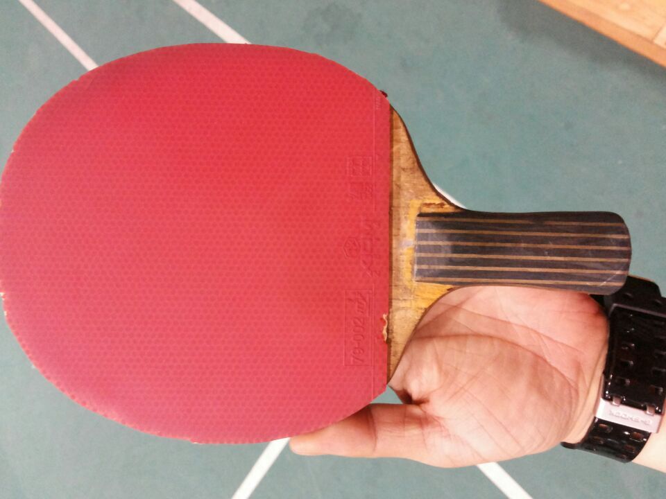 [ԭ��]�������ѱ���չ����������������