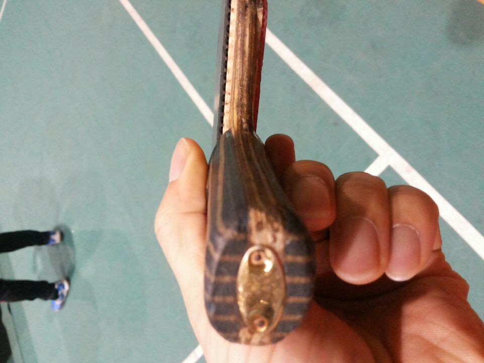 [ԭ��]�������ѱ���չ����������������