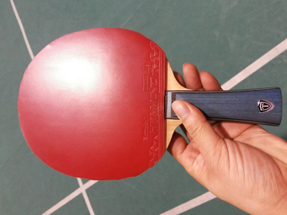 [ԭ��]�������ѱ���չ����������������