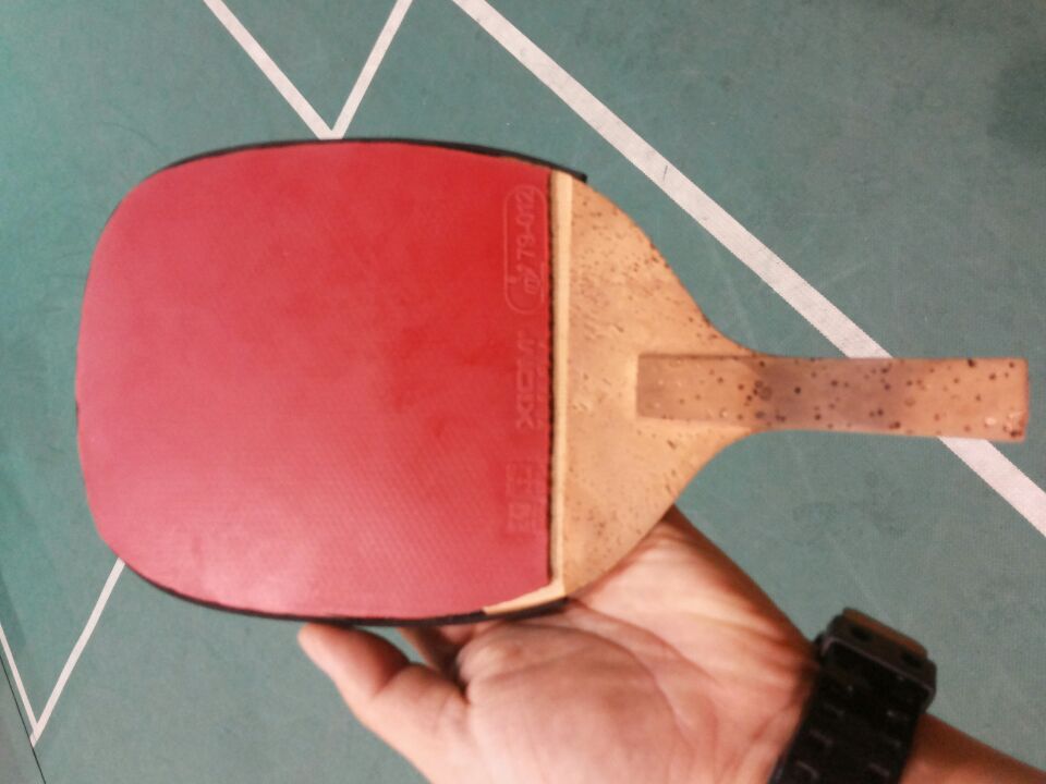 [ԭ��]�������ѱ���չ����������������