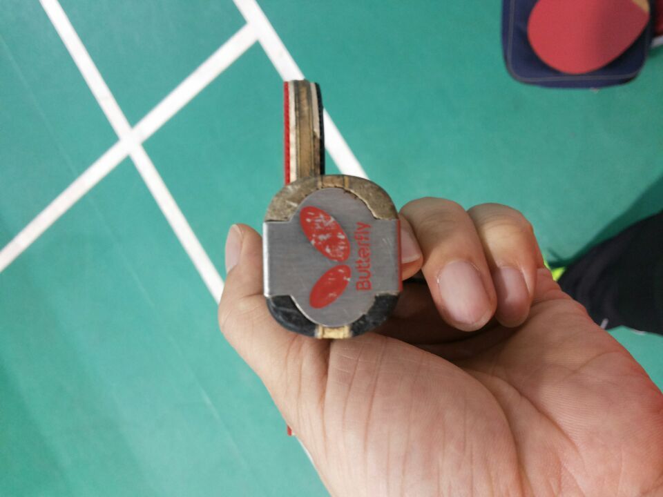 [ԭ��]�������ѱ���չ����������������