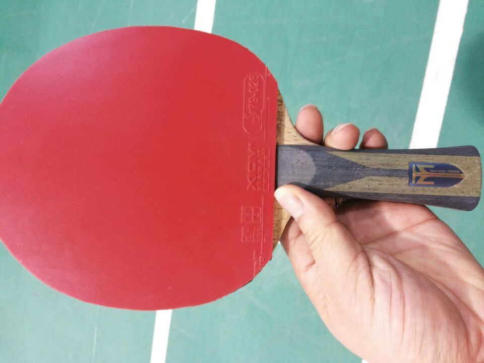 [ԭ��]�������ѱ���չ����������������