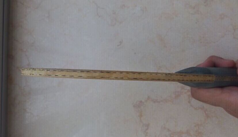 ��������5 ~~~~~~~~~~~~~~~