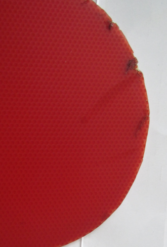 �����տ񡢴���ٶ�FX��ƹ����