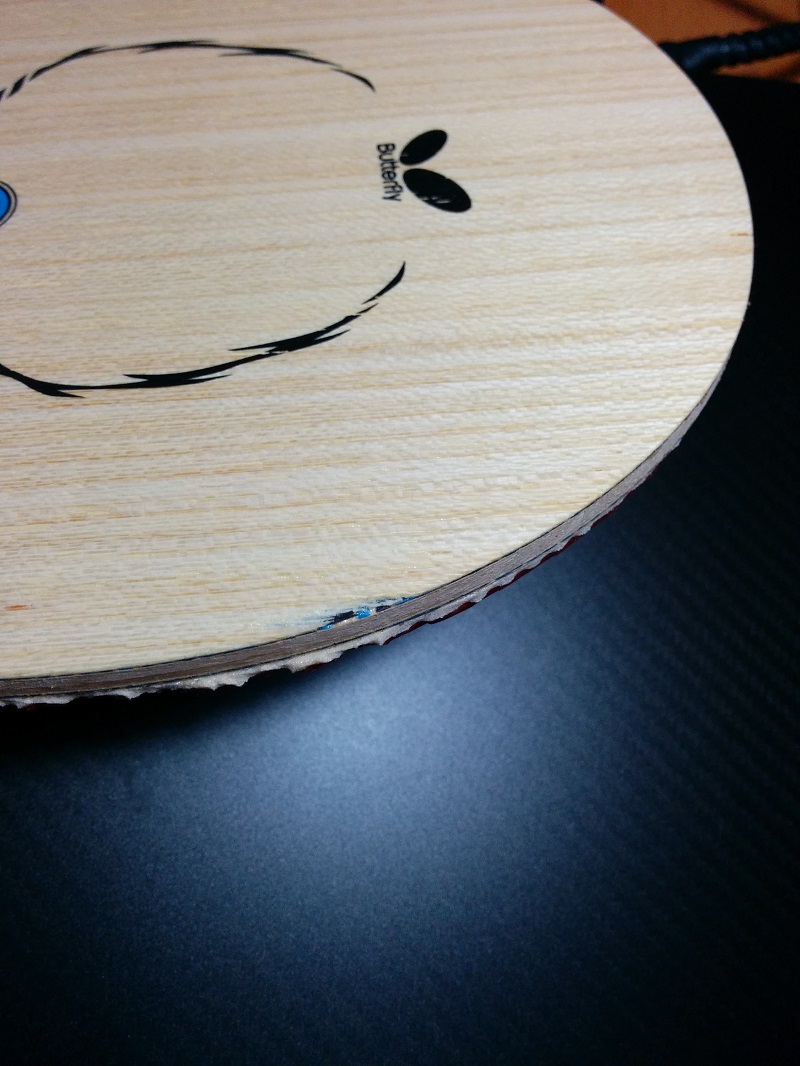 �������ż̿�ALC�����۰��棩����һЩ�׽�