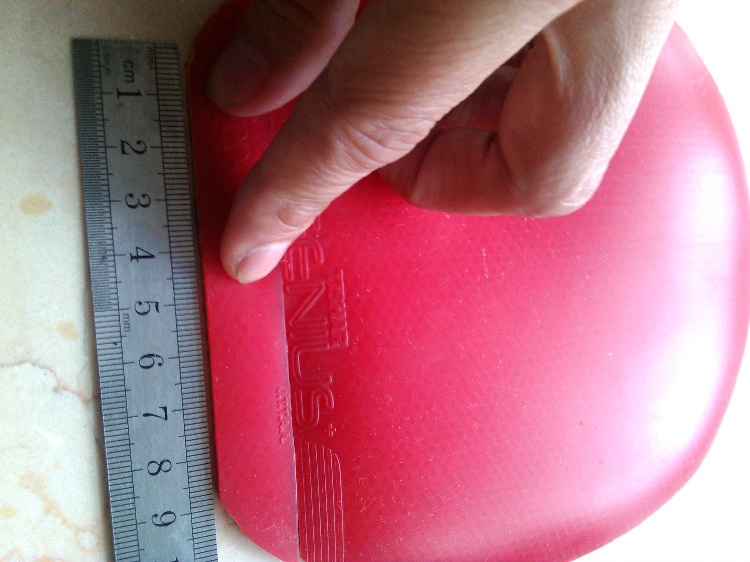 ��ͦ�����+