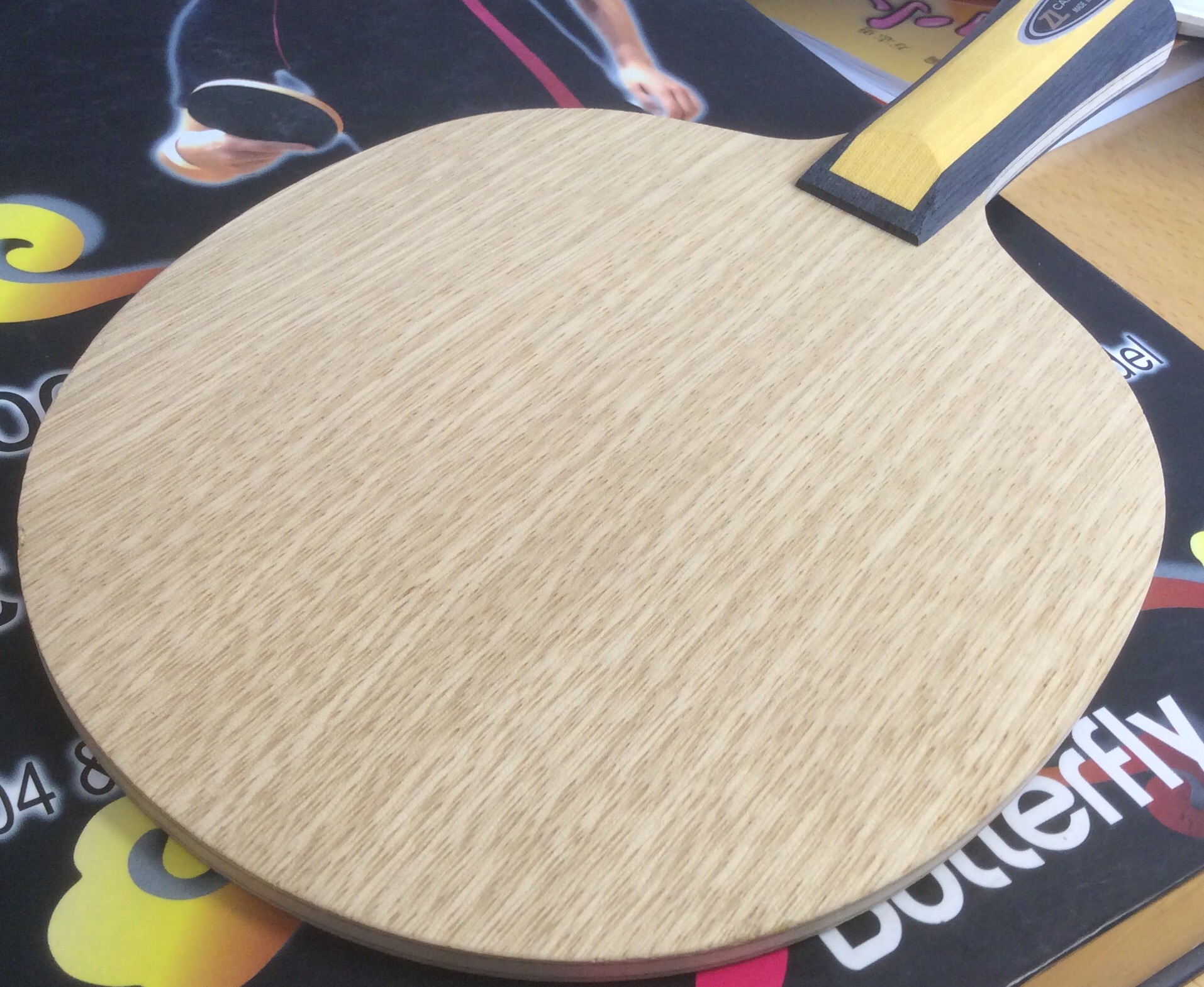 ����������445��