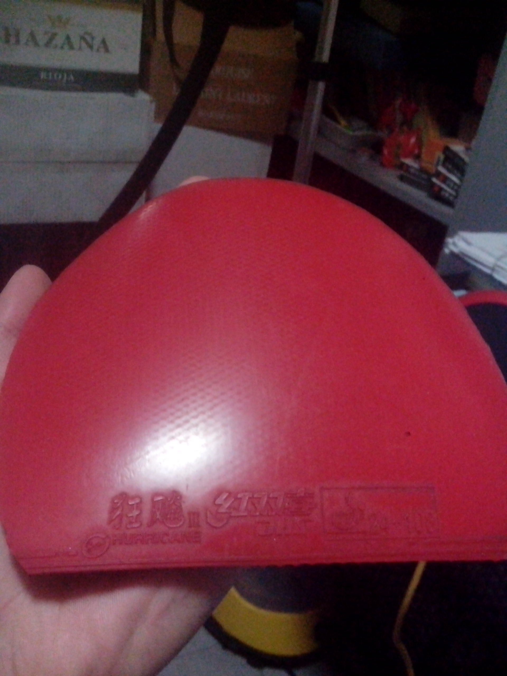 ��5���׽�����������