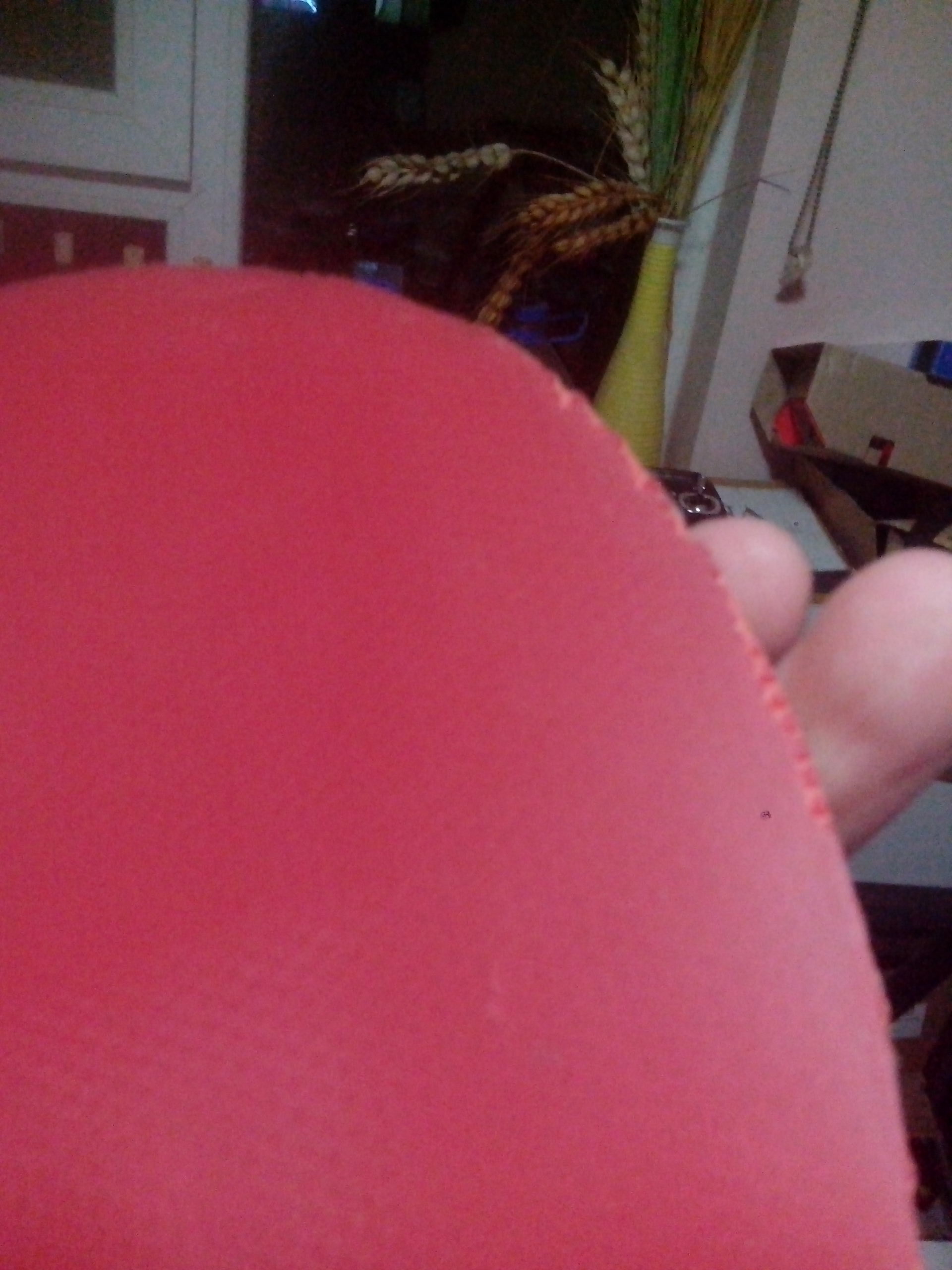 ��5���׽�����������