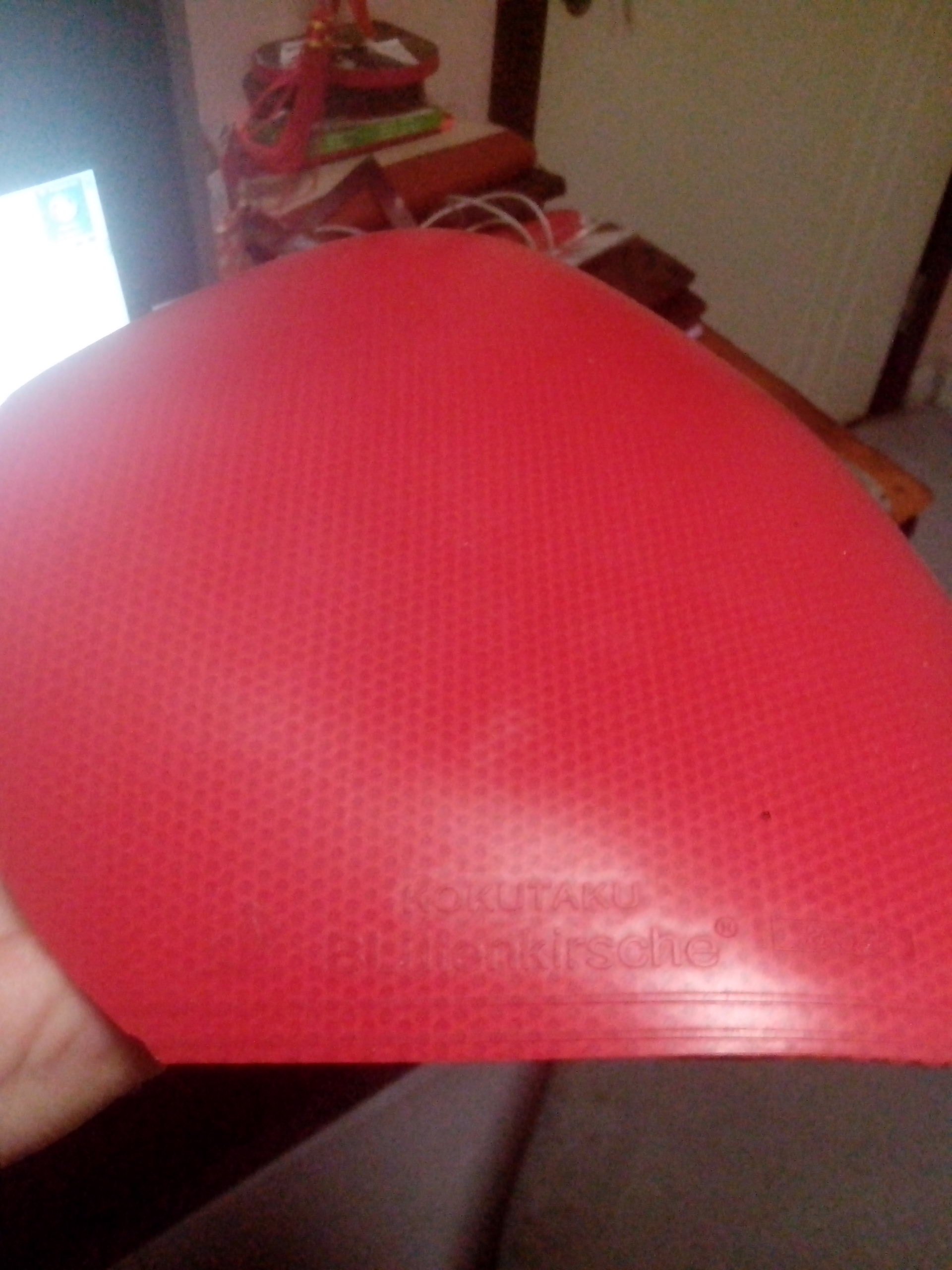 ��5���׽�����������