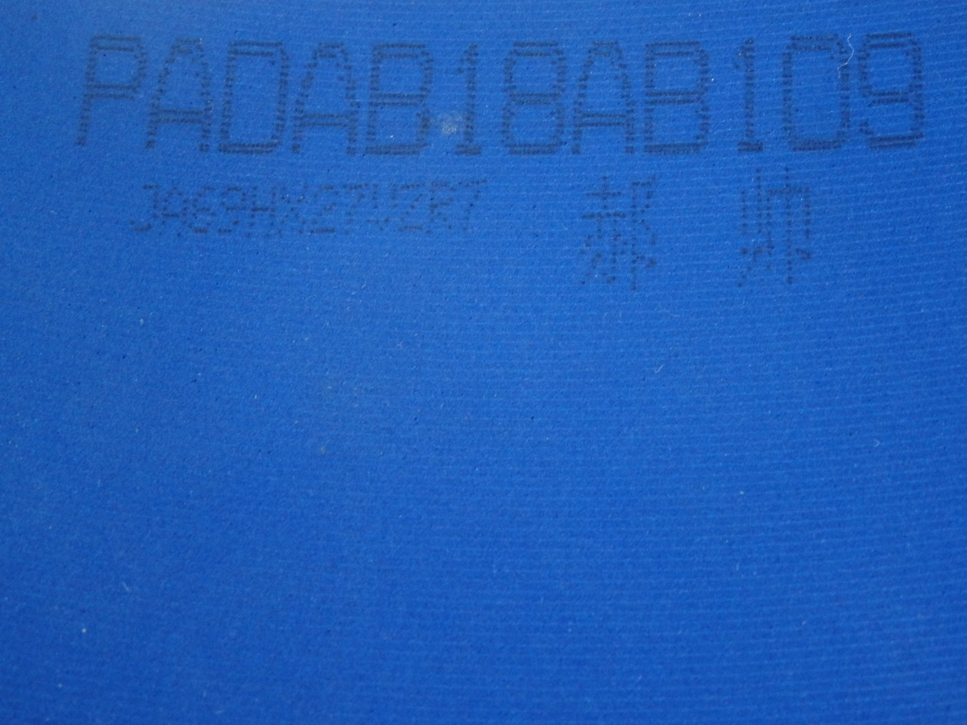 �ذ������ƺ�˧���������