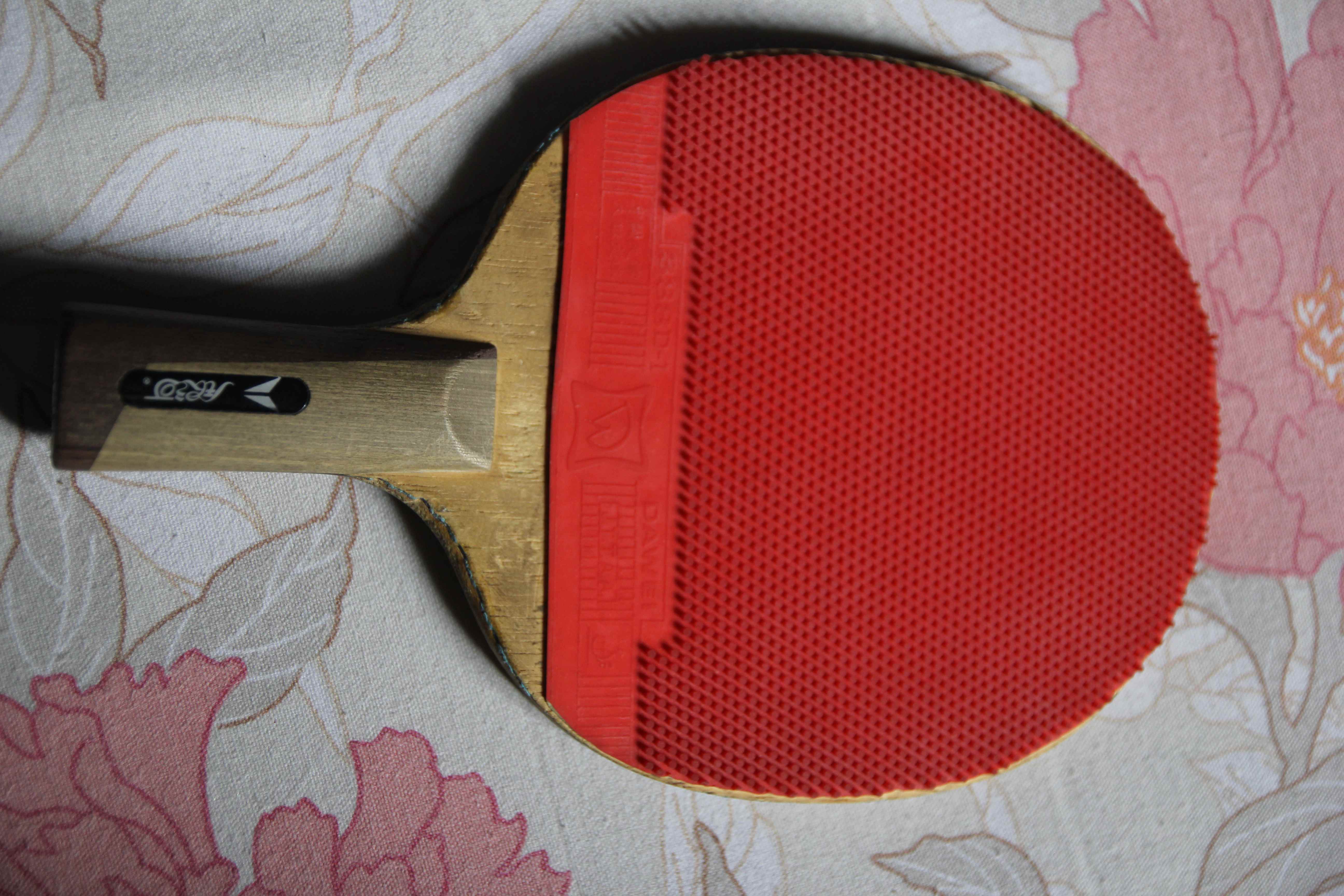 XYm6HN5v.jpg