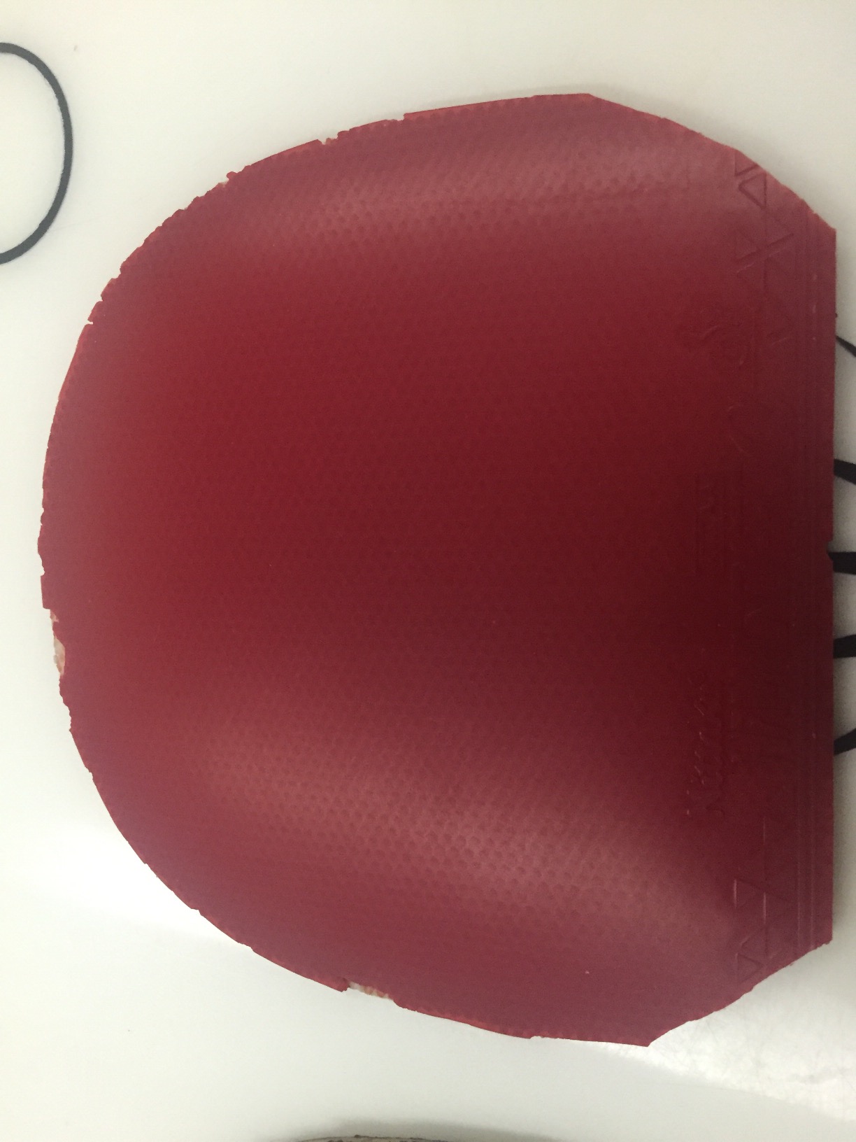 ��ֱ�����Ķ���˽�JO ��NITTAKU�İ����� ��������ͣ��տ�