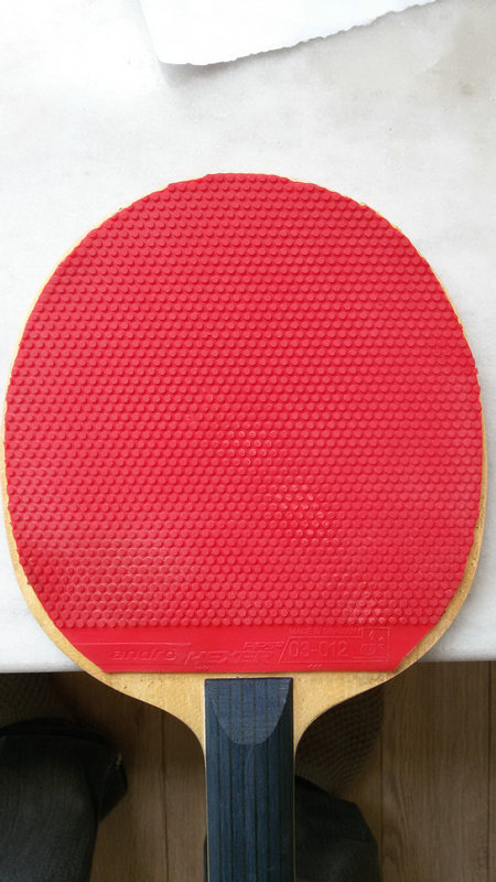 �¹�������Ů���ھ��������Ϸ�������