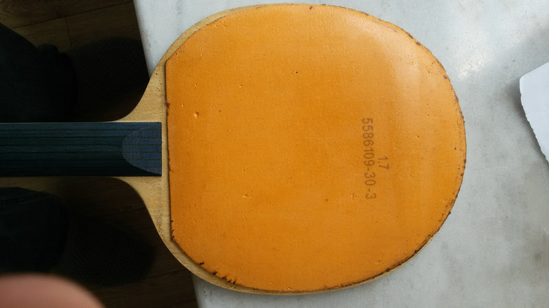 �¹�������Ů���ھ��������Ϸ�������