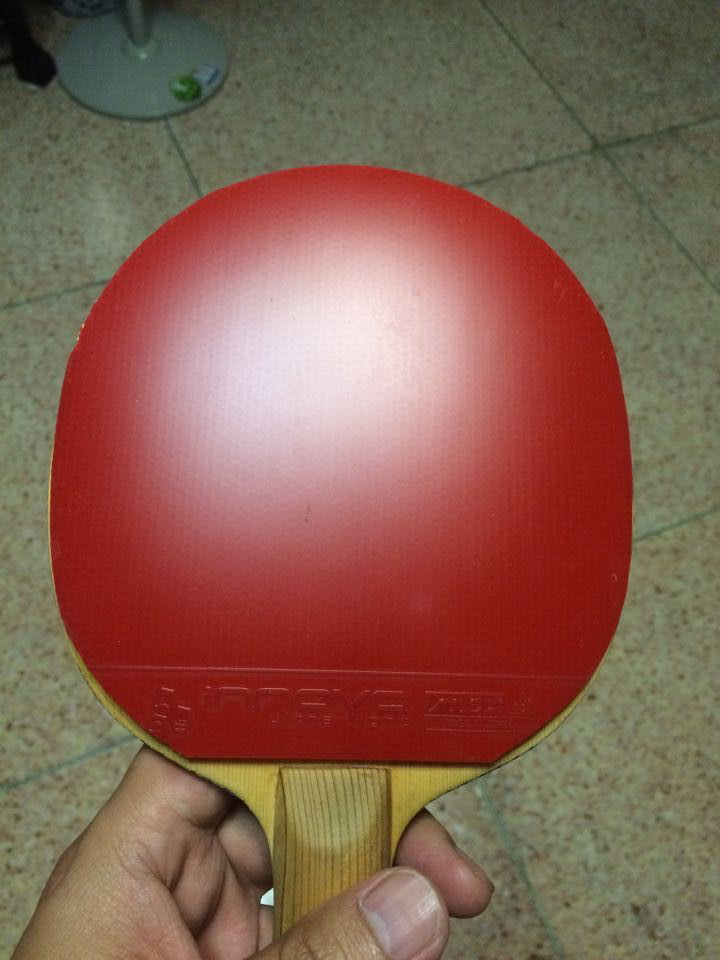 ������һŵ�����켫3��80Ԫ����