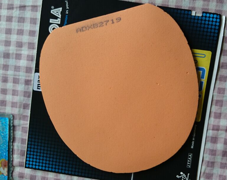 ���ڳ��������õ��׽�===================Ψ���ٶȣ���֣����տ�����������