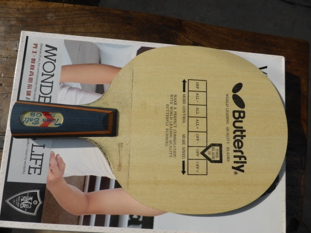 ���鲨������