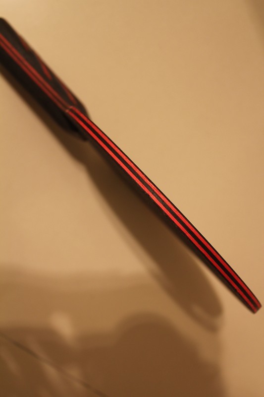 ��˹�ٿ�����̼�� ŷ�� 320���� ֧��������