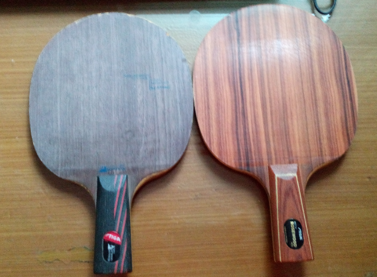 õ��5�������oc