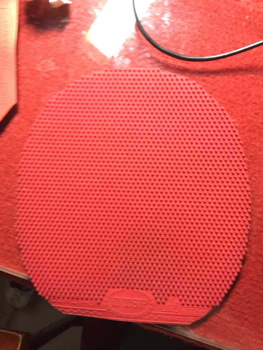 ���鳤��  һ�鶥������  DRţ��ʿ NeubauerŦ��������ͽ����   һ��ʵ��  TSP  CURL P3