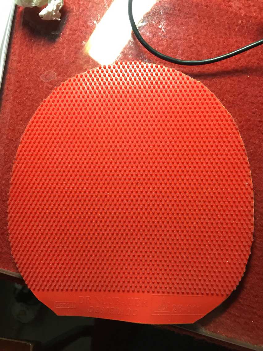 ���鳤��  һ�鶥������  DRţ��ʿ NeubauerŦ��������ͽ����   һ��ʵ��  TSP  CURL P3