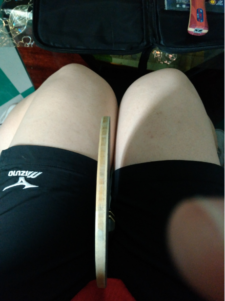 ����STIGA������+�����������+����T64=350������Ȥ����������~~~~������볤���ȳ�������~~~~~