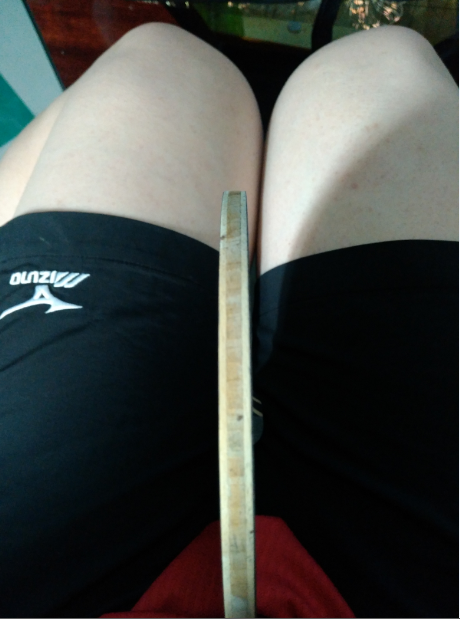 ����STIGA������+�����������+����T64=350������Ȥ����������~~~~������볤���ȳ�������~~~~~