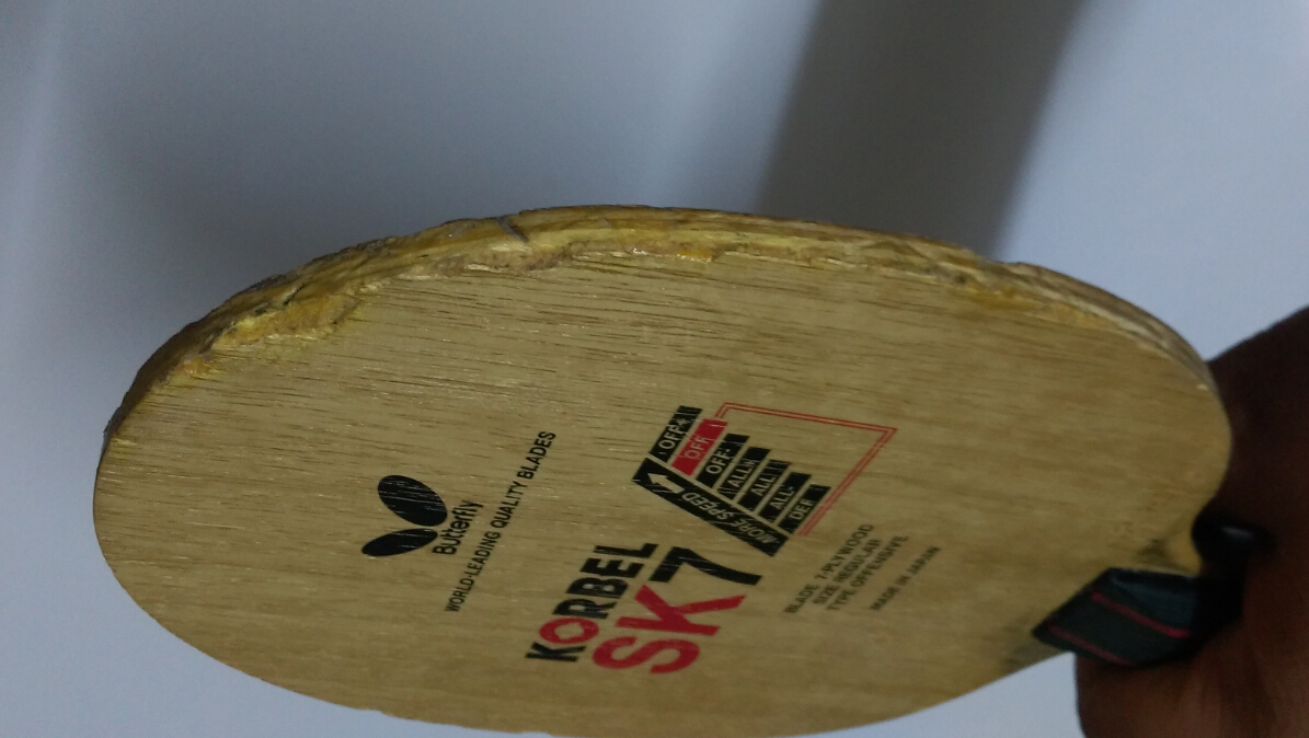 [�ײ˼۳��ݻ�����] ���� �Ʊ���SK7 FL�� 96��  7����  160���ʳ���������