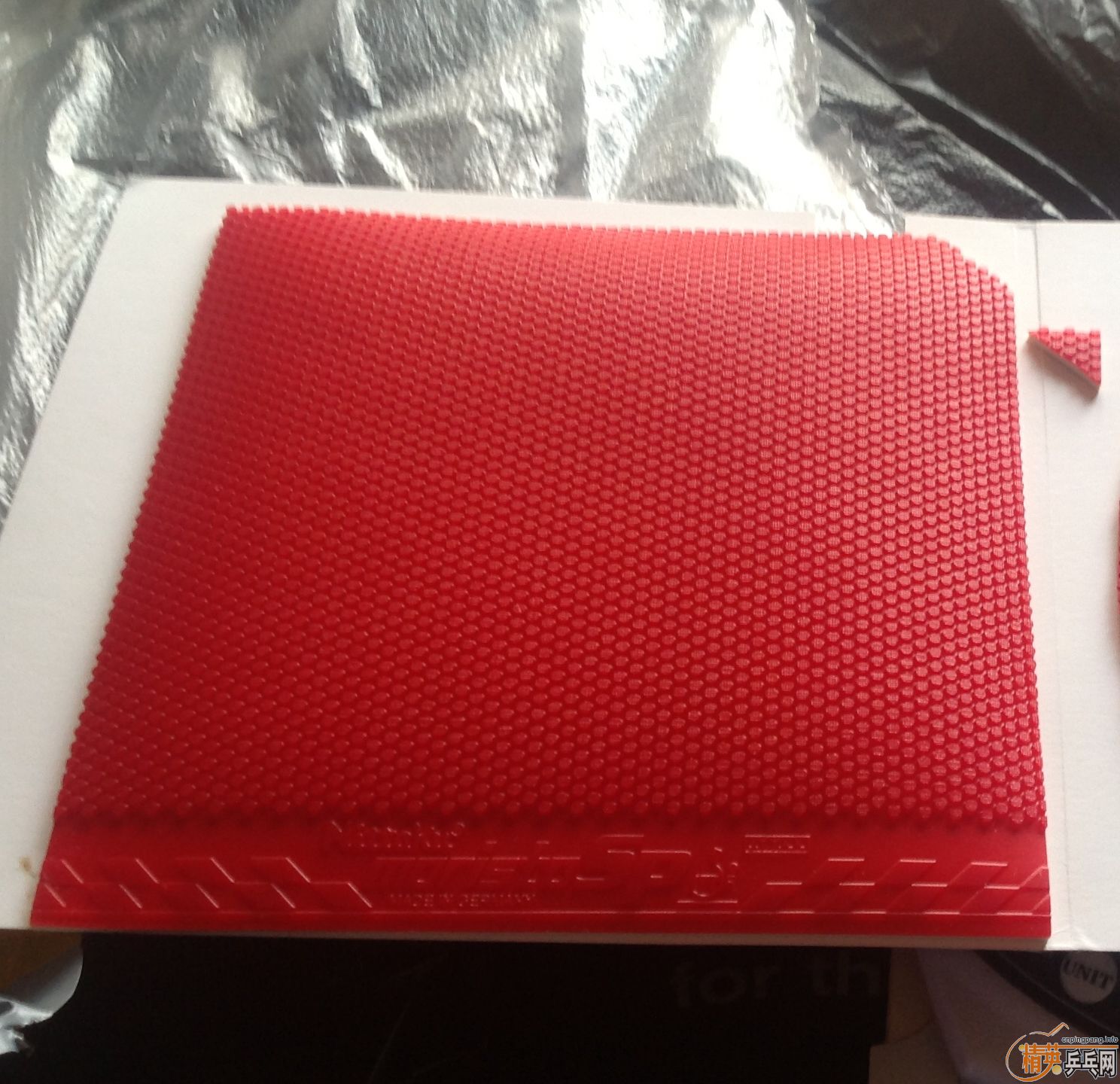 ���������� Ī��˹��SP  moristo sp   ��ɫ�غ�