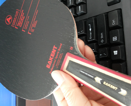 [ԭ��]�������ѱ���չ����������������