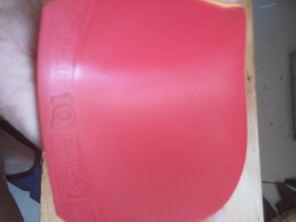 ۽  889ͦ1Q ĵ˫1ƹһ6
