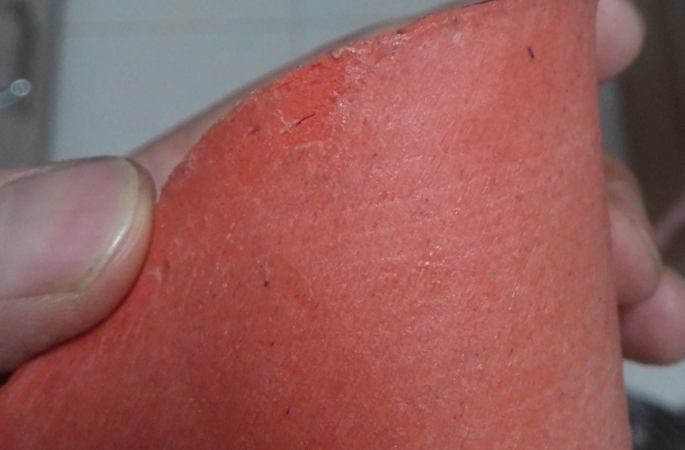 ��SP T05����ɫ��T64,��ɫ�����440.������