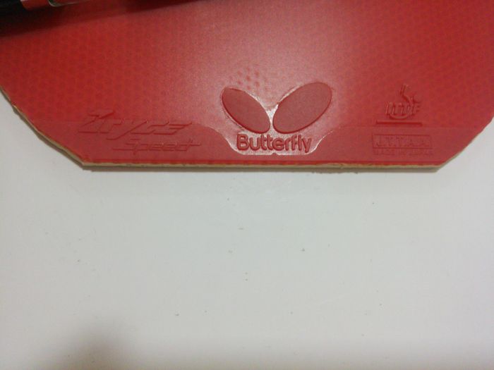 ���������BRYCE SPEED