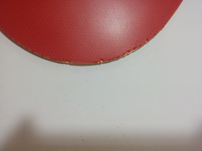 ���������BRYCE SPEED