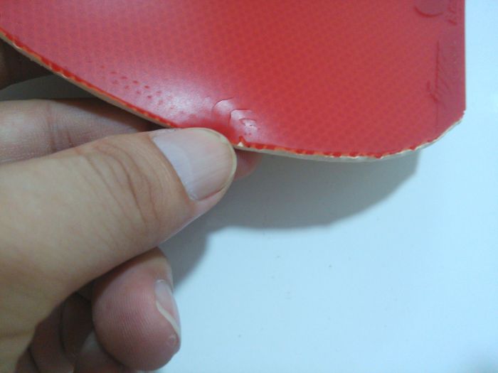 ���������BRYCE SPEED