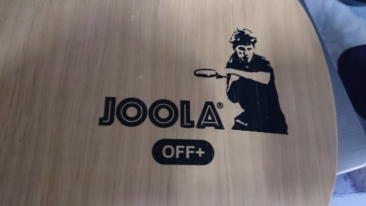 [ԭ]JOOLA VIVA߰ 190