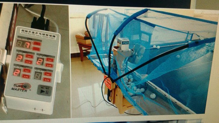 ƹ�������