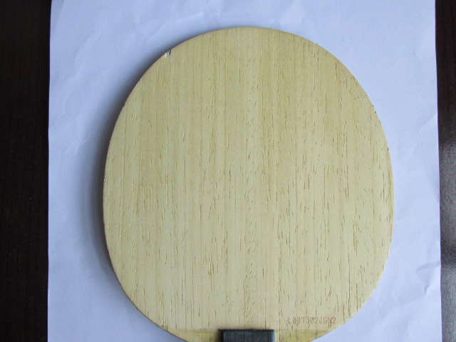 鷳ǼALC١ллˡ