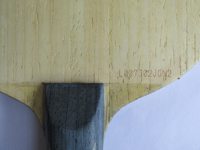 鷳ǼALC١ллˡ