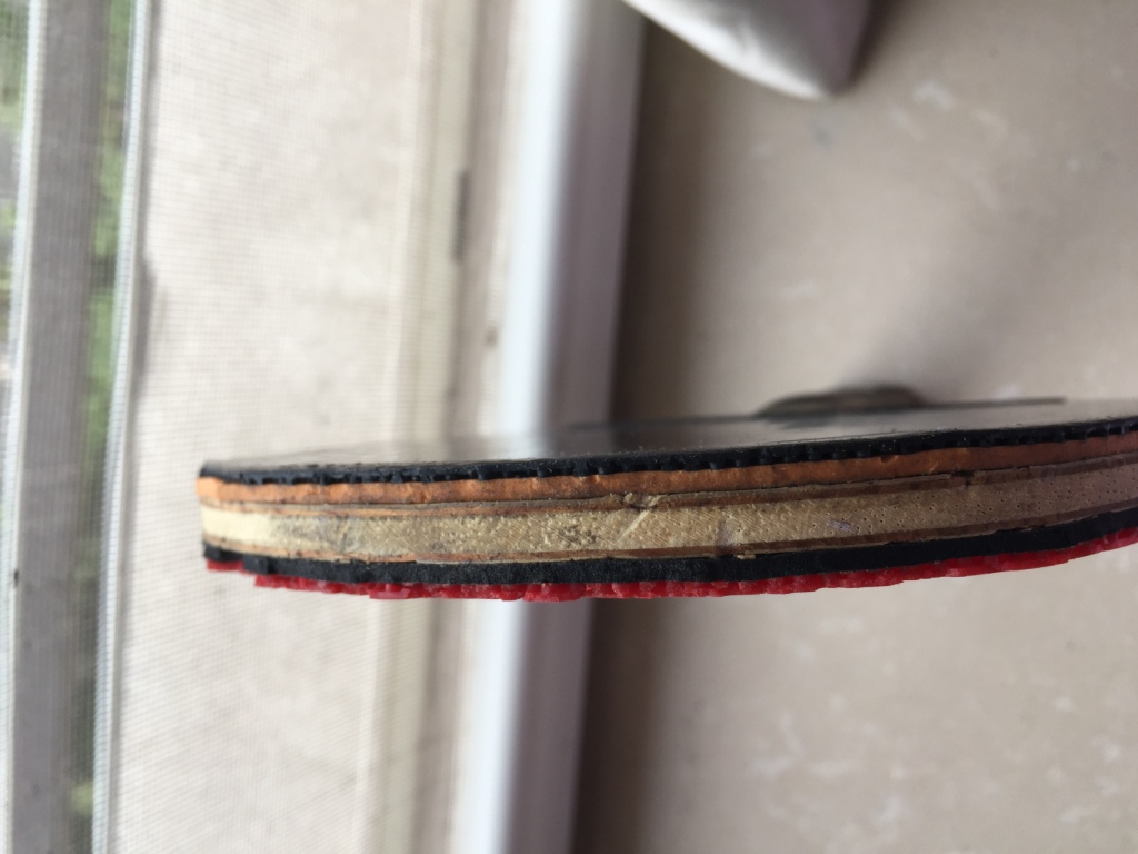 �����ó���VPS FL--���ѳ�