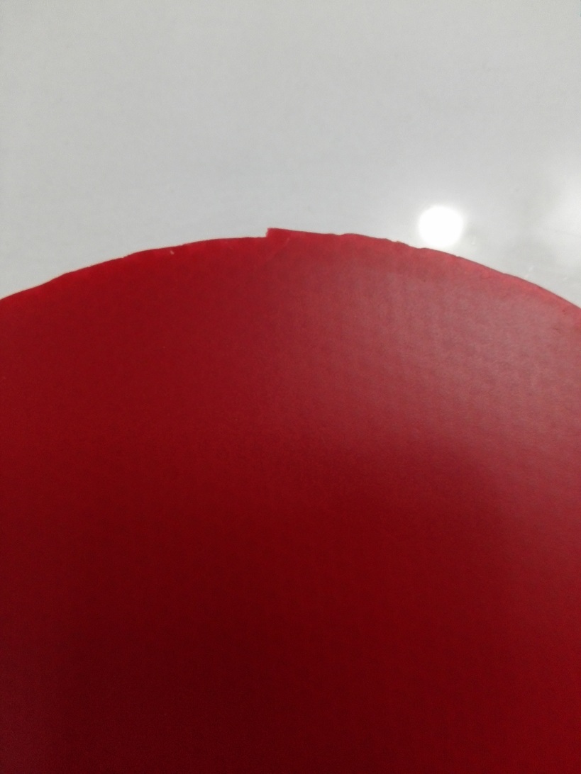 �������ɫ������T05